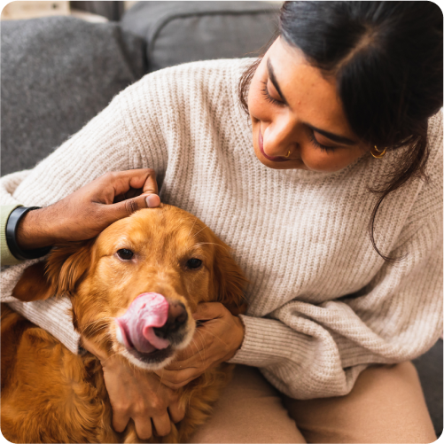 petting a dog